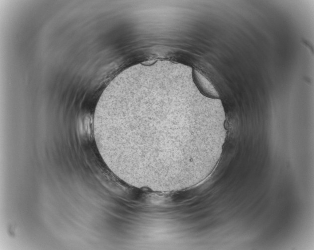 X0000102390094200808291433
