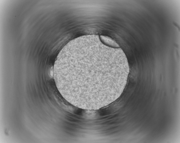 X0000102390095200808291433