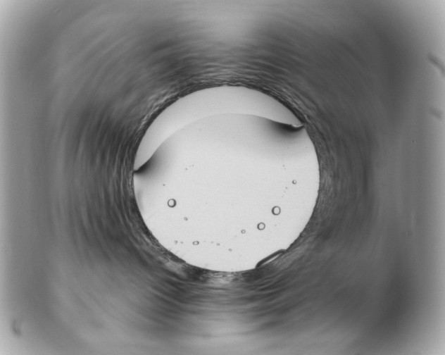 X0000102390096200808291433