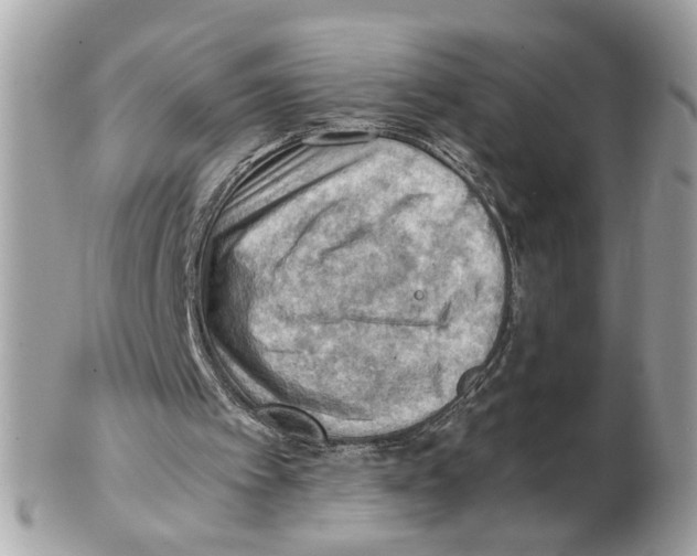 X0000102390097200808291432
