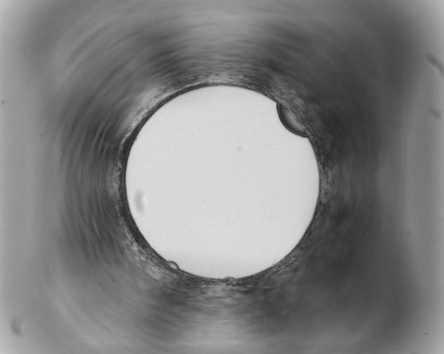 X0000102390098200808291432