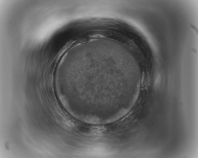 X0000102390099200808291432