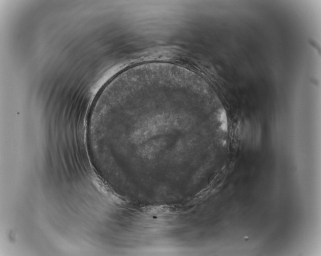 X0000102390100200808291432