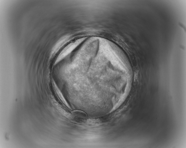 X0000102390101200808291432