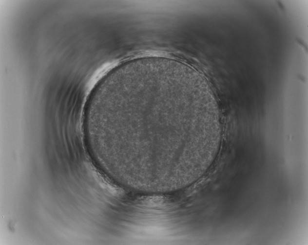 X0000102390104200808291432