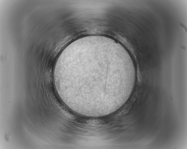 X0000102390105200808291432
