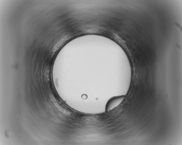 X0000102390106200808291432