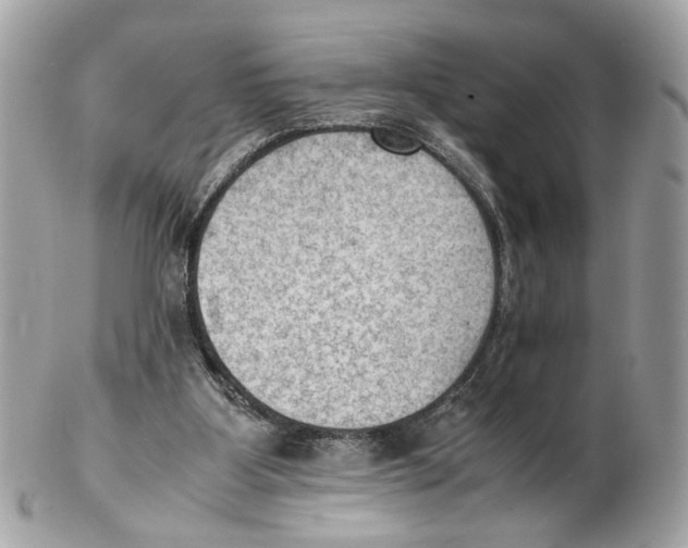 X0000102390107200808291432