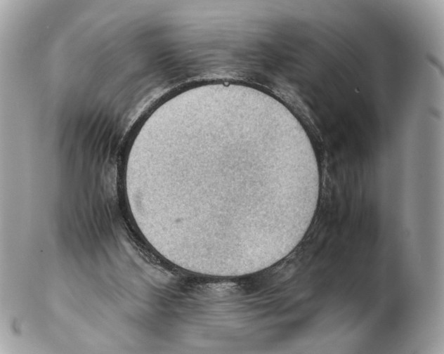 X0000102390108200808291432