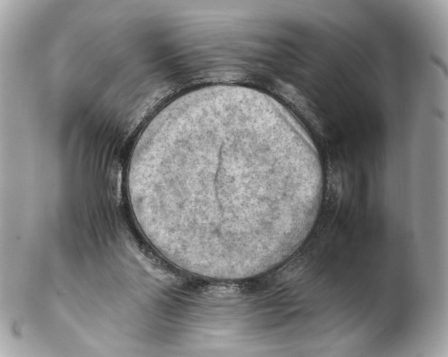 X0000102390110200808291432