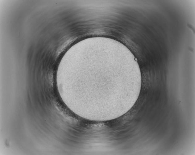 X0000102390112200808291432