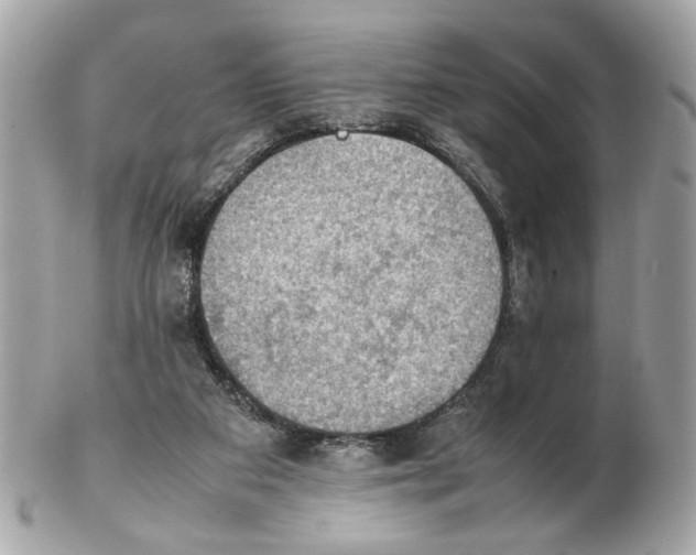 X0000102390113200808291432