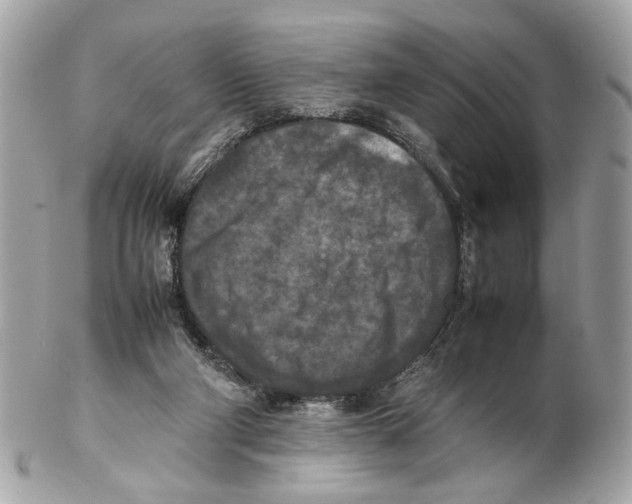 X0000102390114200808291432