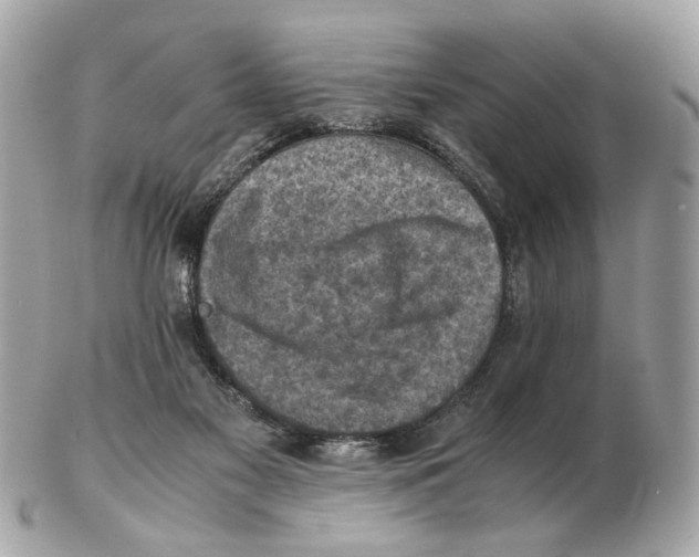 X0000102390117200808291432