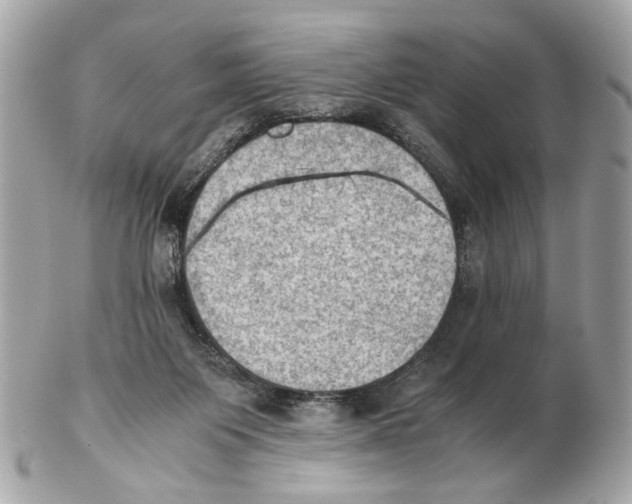 X0000102390119200808291432