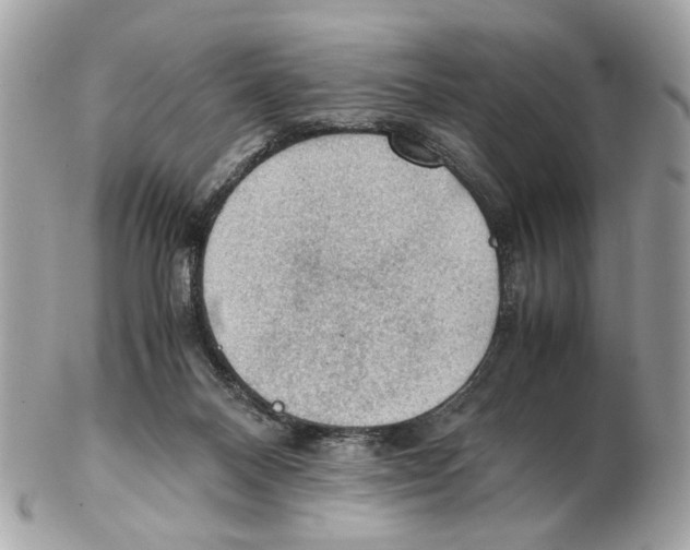 X0000102390120200808291432