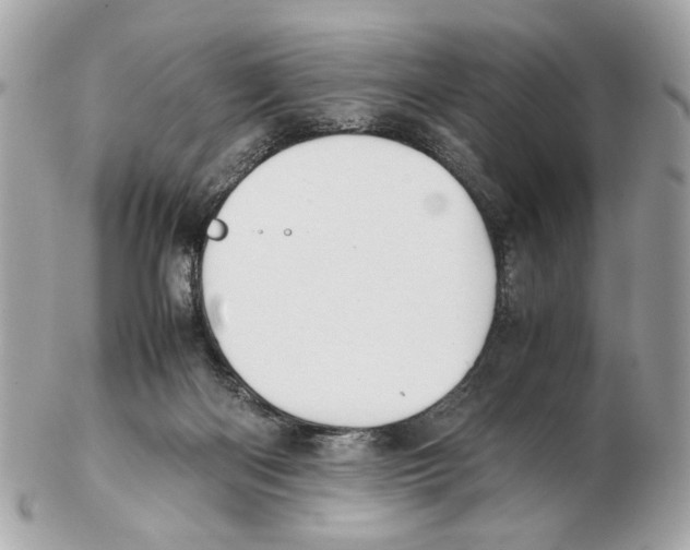 X0000102390122200808291432
