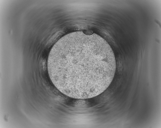 X0000102390123200808291432