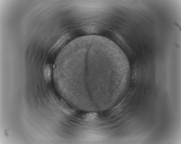 X0000102390124200808291432