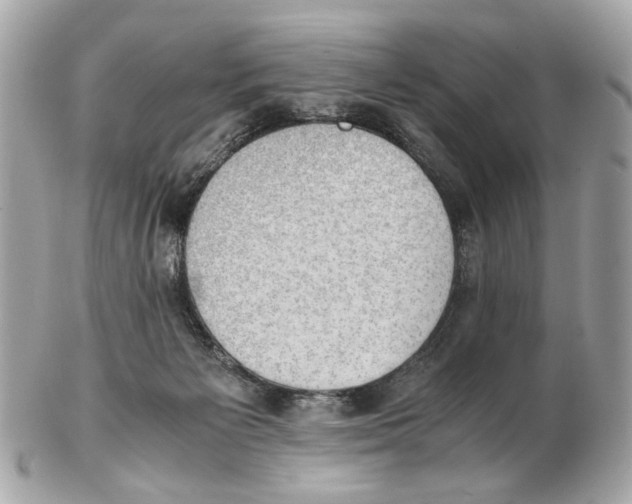 X0000102390125200808291432