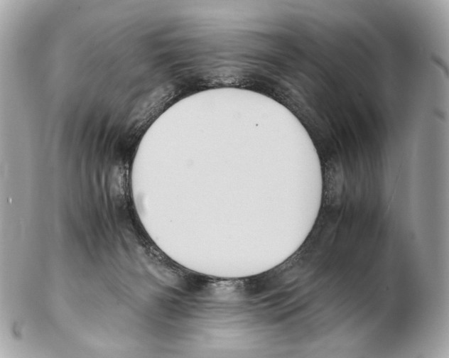 X0000102390126200808291432