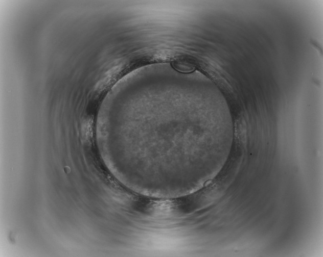 X0000102390127200808291432