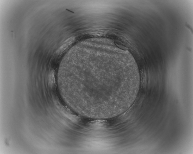X0000102390128200808291432
