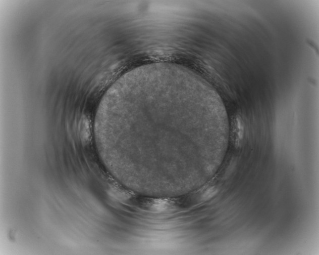 X0000102390130200808291432
