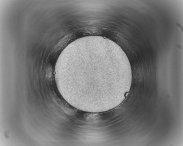 X0000102390132200808291432