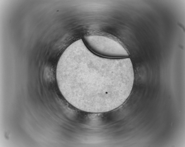 X0000102390136200808291432