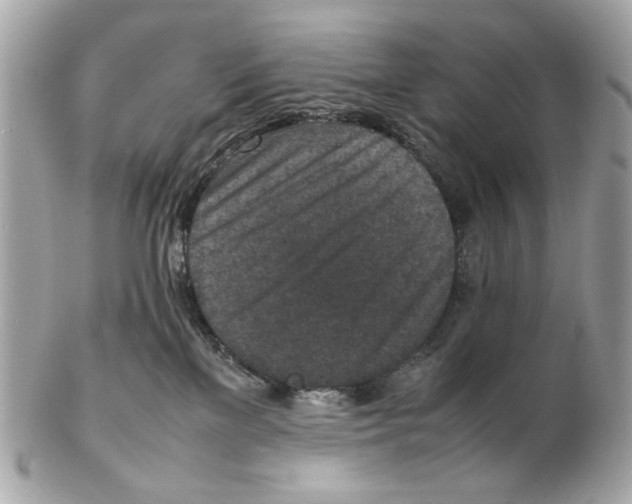 X0000102390137200808291432