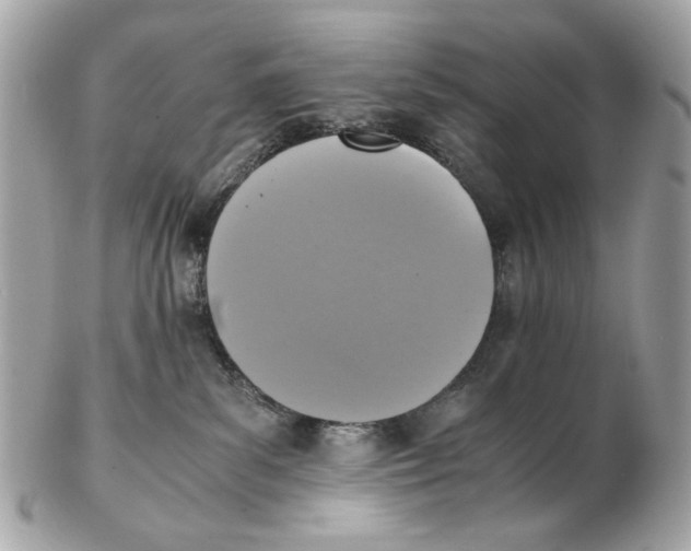 X0000102390139200808291432