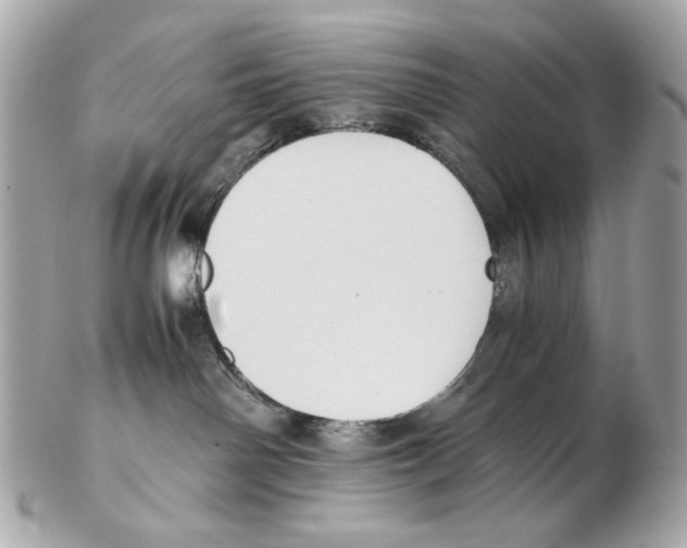 X0000102390142200808291431