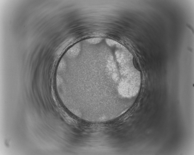 X0000102390145200808291431