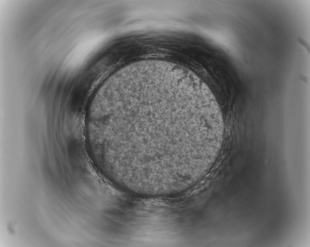X0000102390146200808291431
