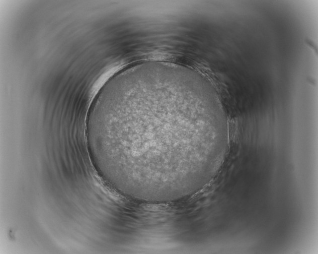 X0000102390147200808291431