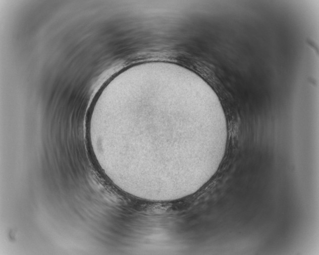 X0000102390148200808291431