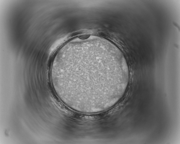 X0000102390149200808291431