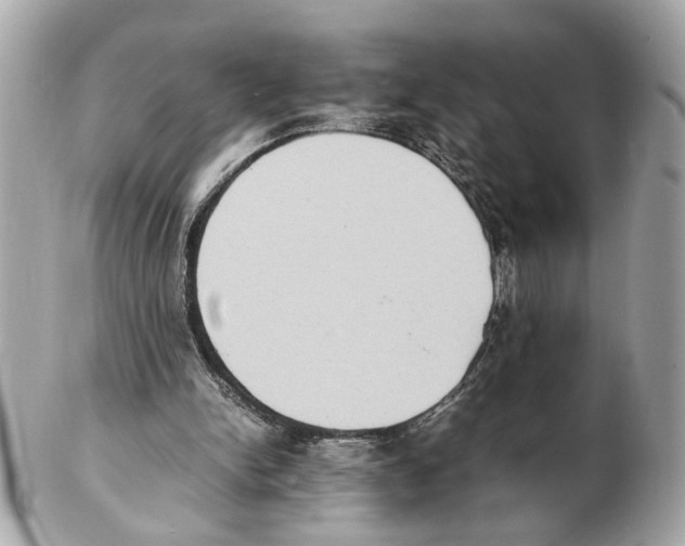 X0000102390150200808291431