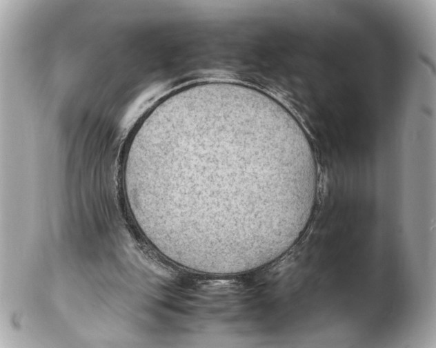 X0000102390151200808291431