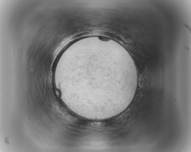 X0000102390152200808291431