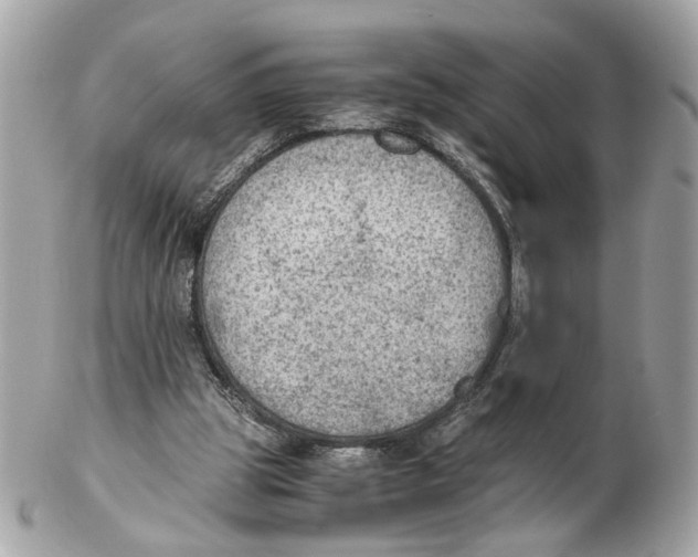 X0000102390153200808291431