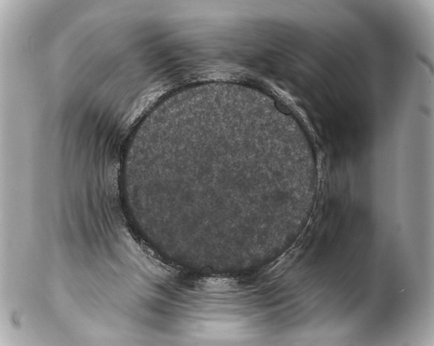 X0000102390154200808291431