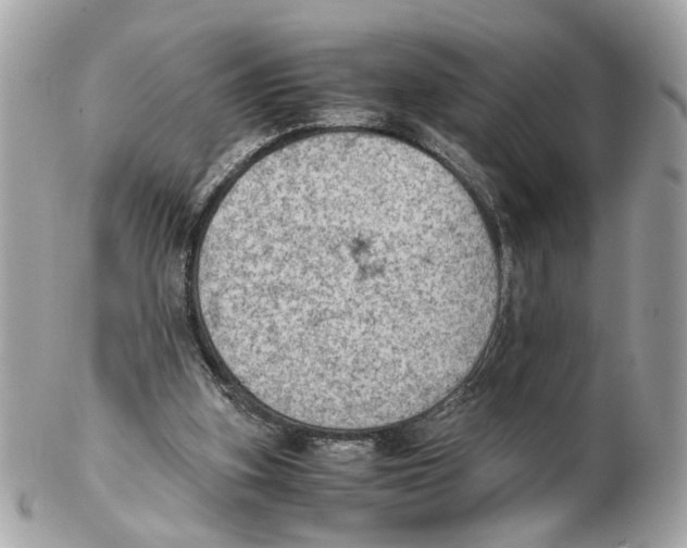 X0000102390155200808291431