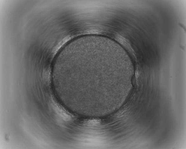 X0000102390156200808291431