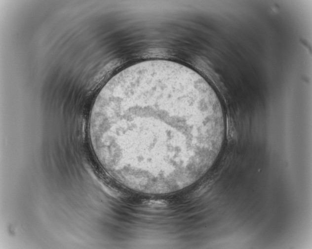 X0000102390157200808291431