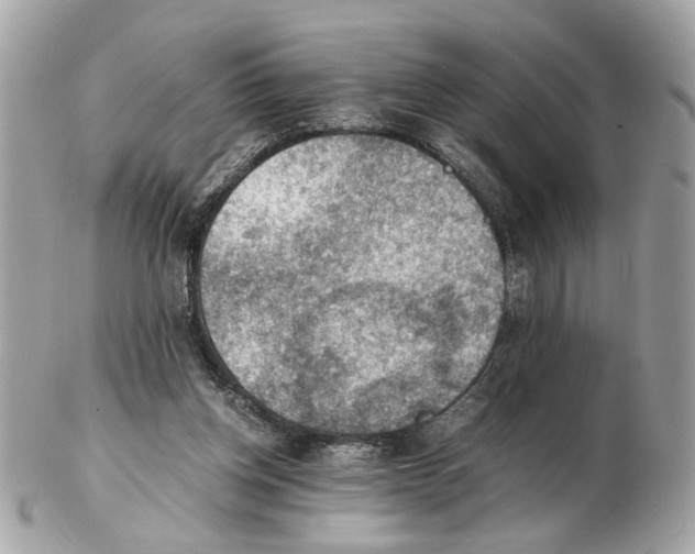 X0000102390158200808291431