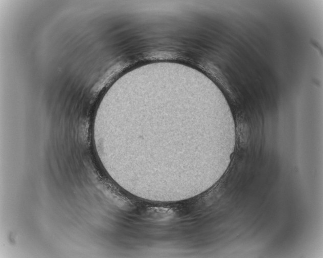 X0000102390159200808291431