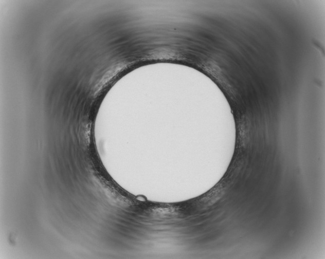 X0000102390160200808291431