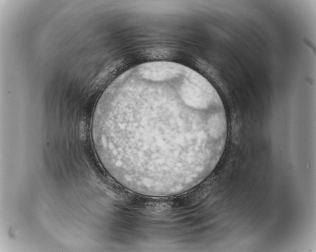 X0000102390161200808291431